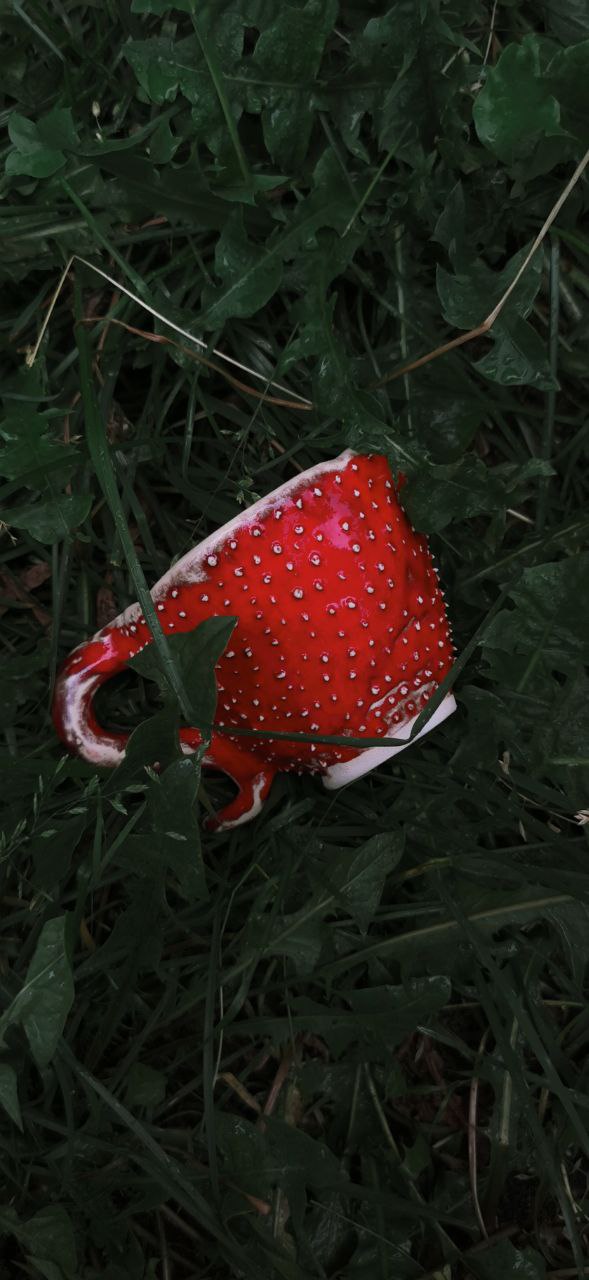 Маяк ваших надежд