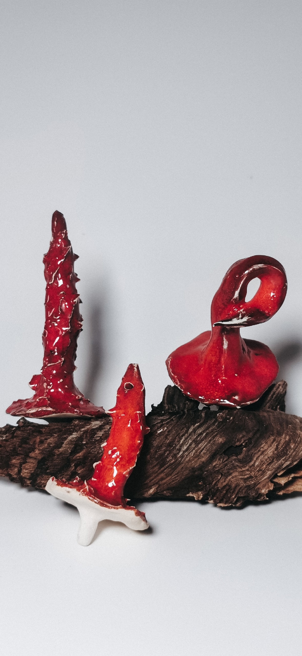 Много мухоморов